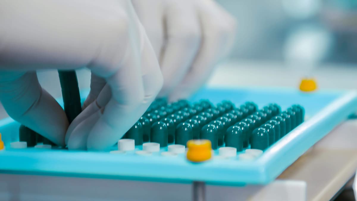 pexels-pilanfilms-11589208