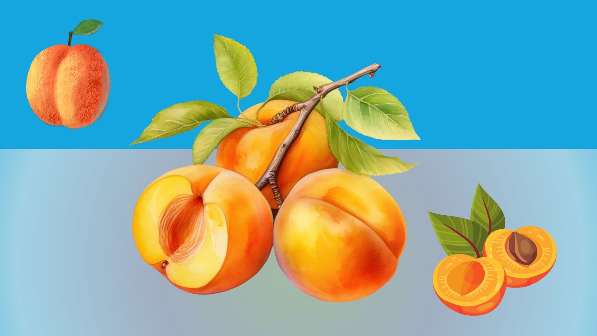 Can apricot seeds help treat cancer?