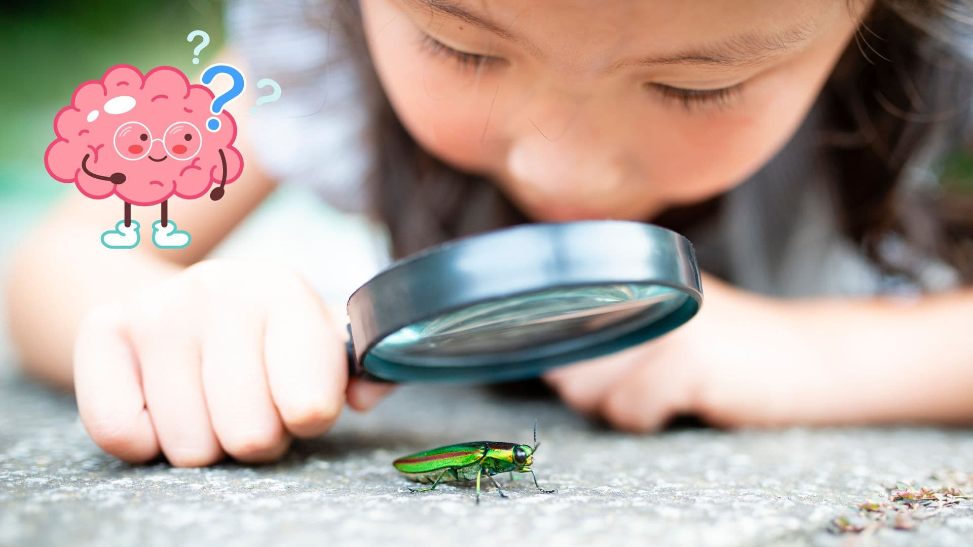 The power of curiosity: Why it matters and how to cultivate it