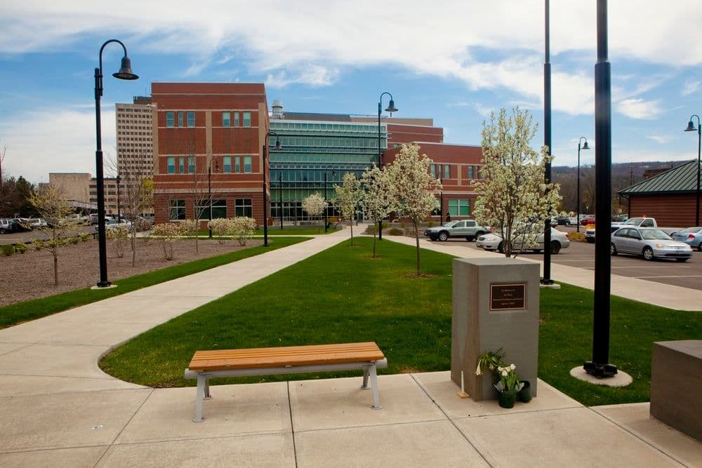 Binghamton_university_downtown_center