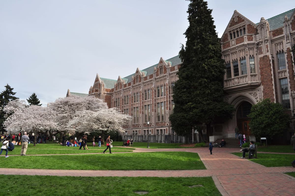 University_of_Washington_Quad_cherry_blossoms_2014_-_07_13348431944