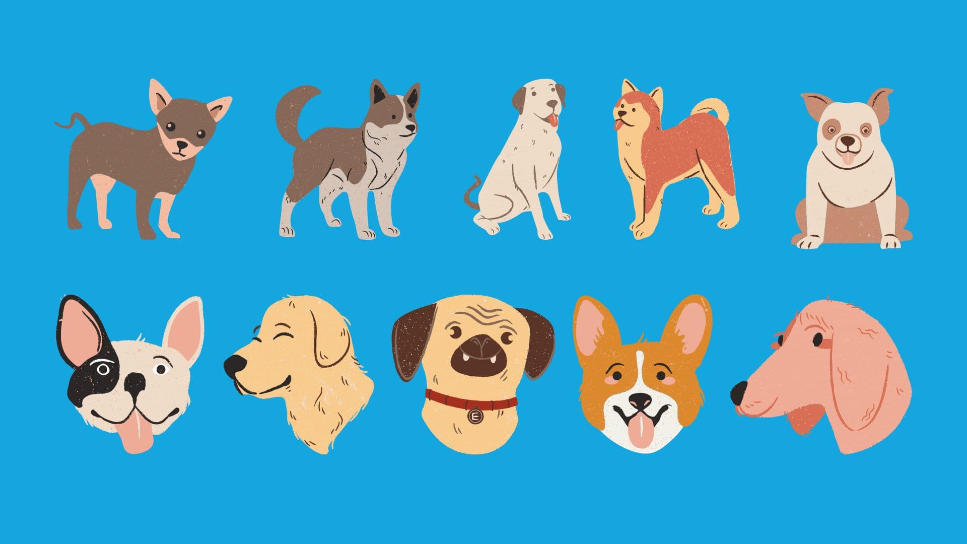 12 common dog breeds and their health issues