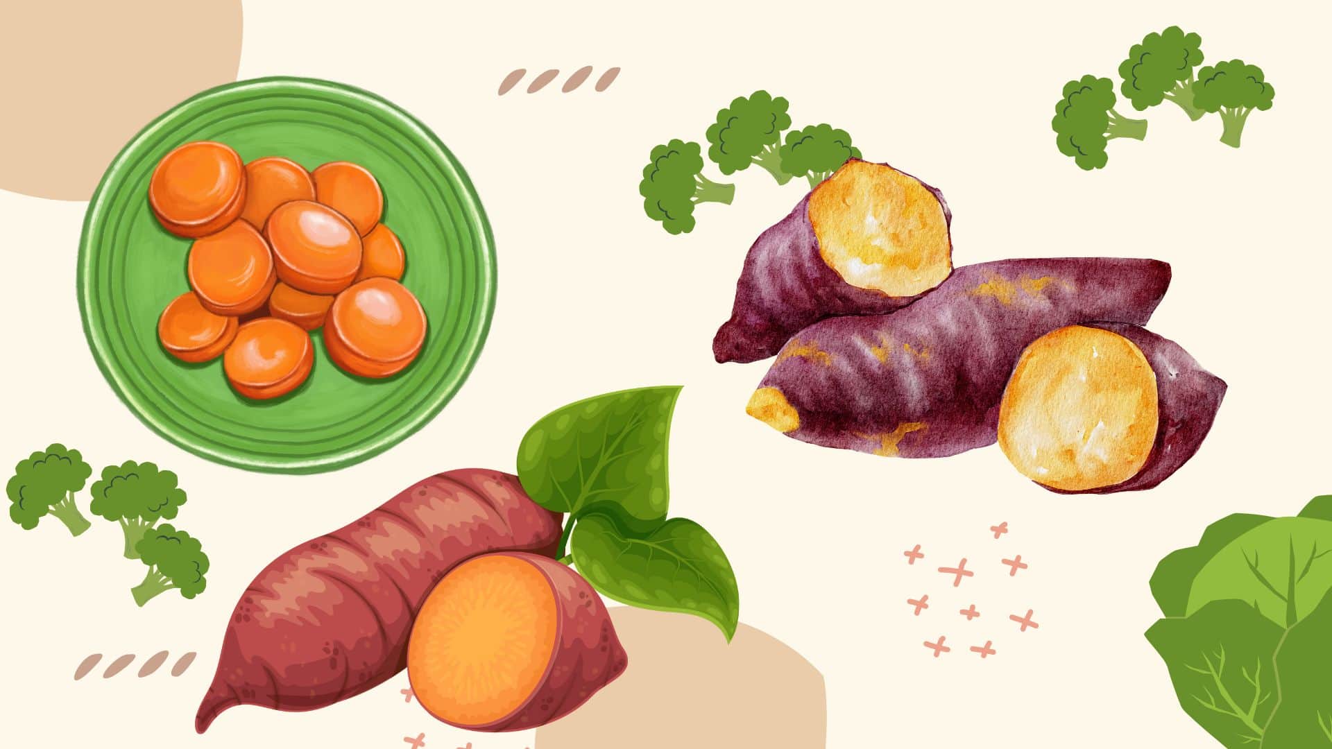 What is the difference between a sweet potato and a yam?