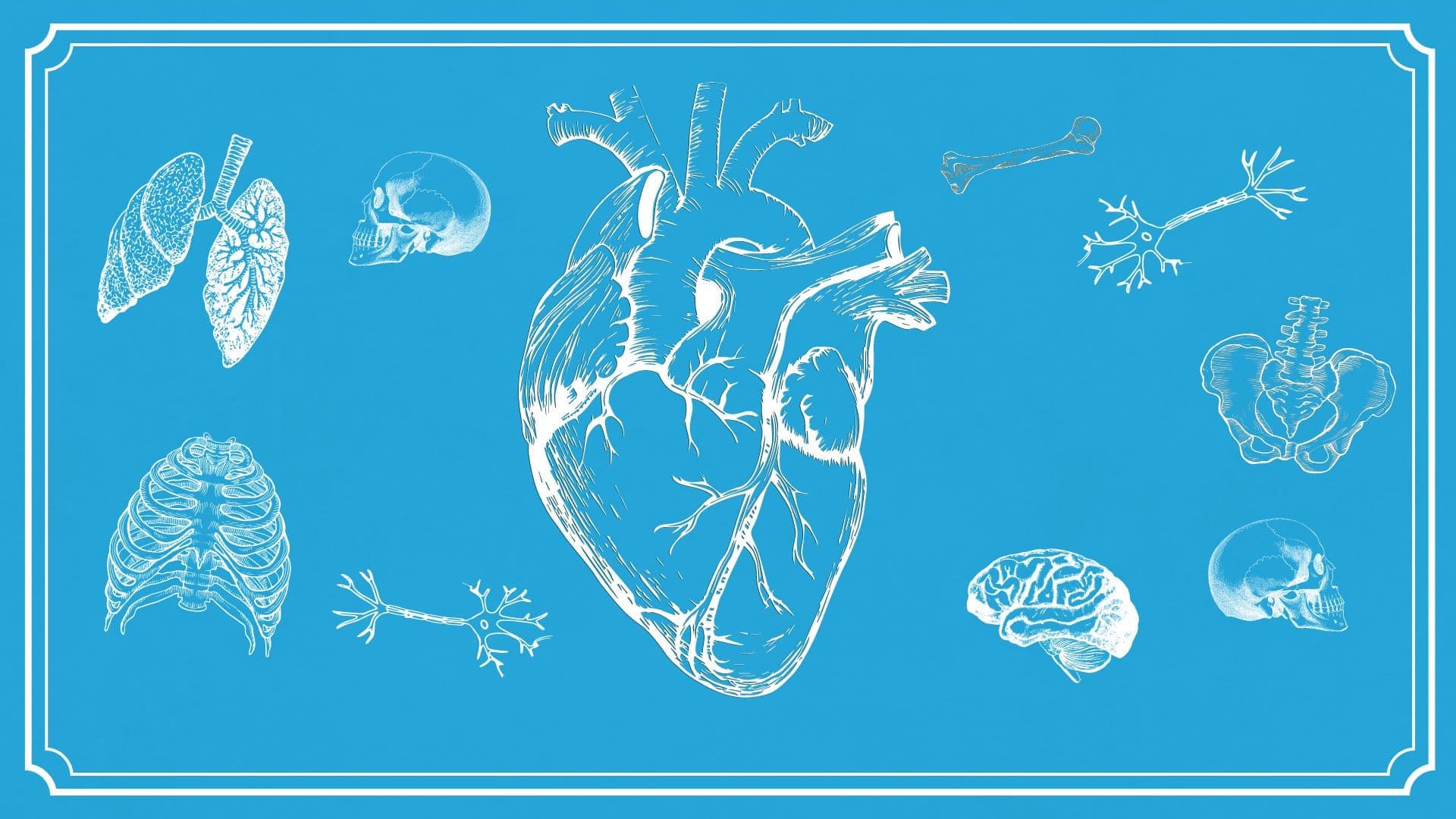 Granuloma: what does it mean?