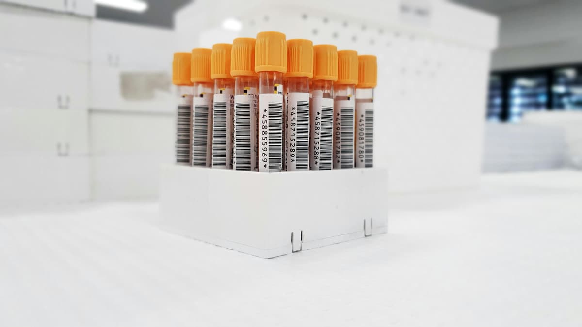 rocky mountain spotted fever